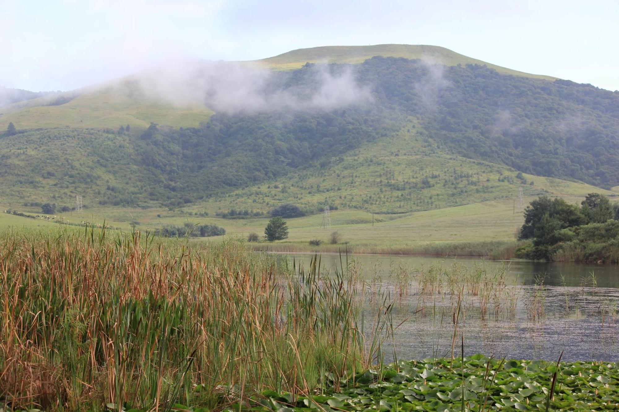 Отель Beacon Vlei Guest Farm Balgowan Экстерьер фото